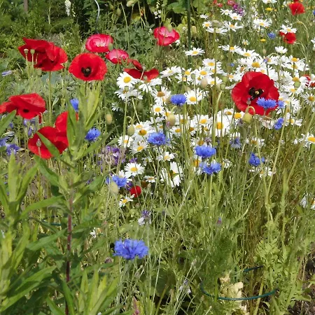 1 Bei Familie Saupe Apartment